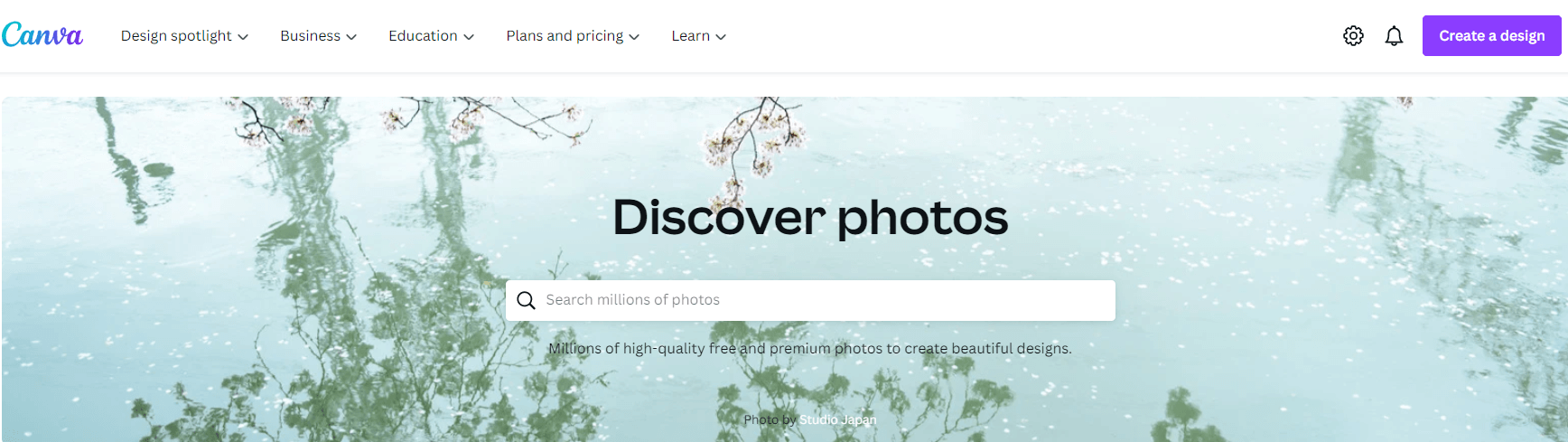 معرفی سایت عکس سایت Canva